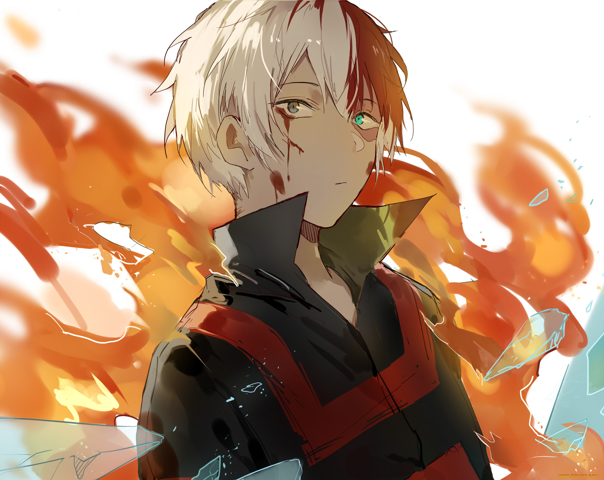 , boku no hero academia, 